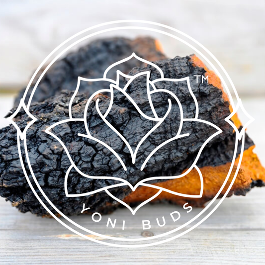 PAP V 1 Chaga 'Yoni Buds' 21 pcs